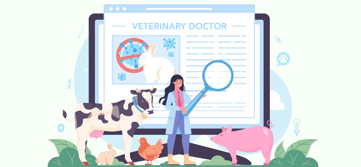 Где можно заказать помощь с курсовой работой по ветеринарии: ТОП-11 сервисов